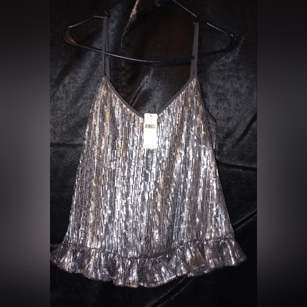 NWT Anthropologie Amelie Beaded Cami Size 6 Silver - Picture 2 of 9